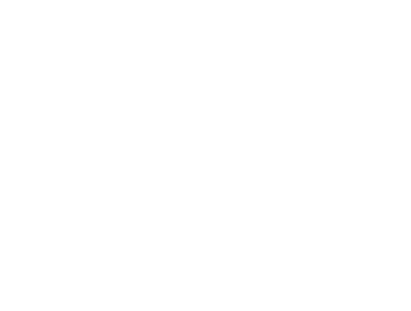 big-fish-logo